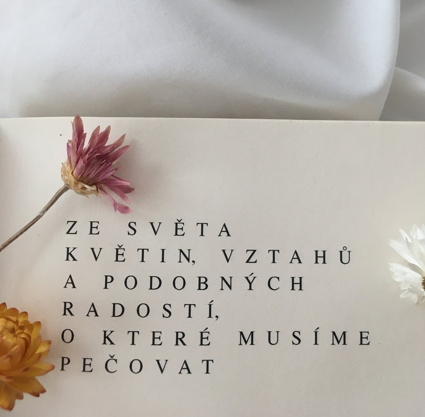 Ze světa květin, vztahů a podobných radostí, o které musíme pečovat